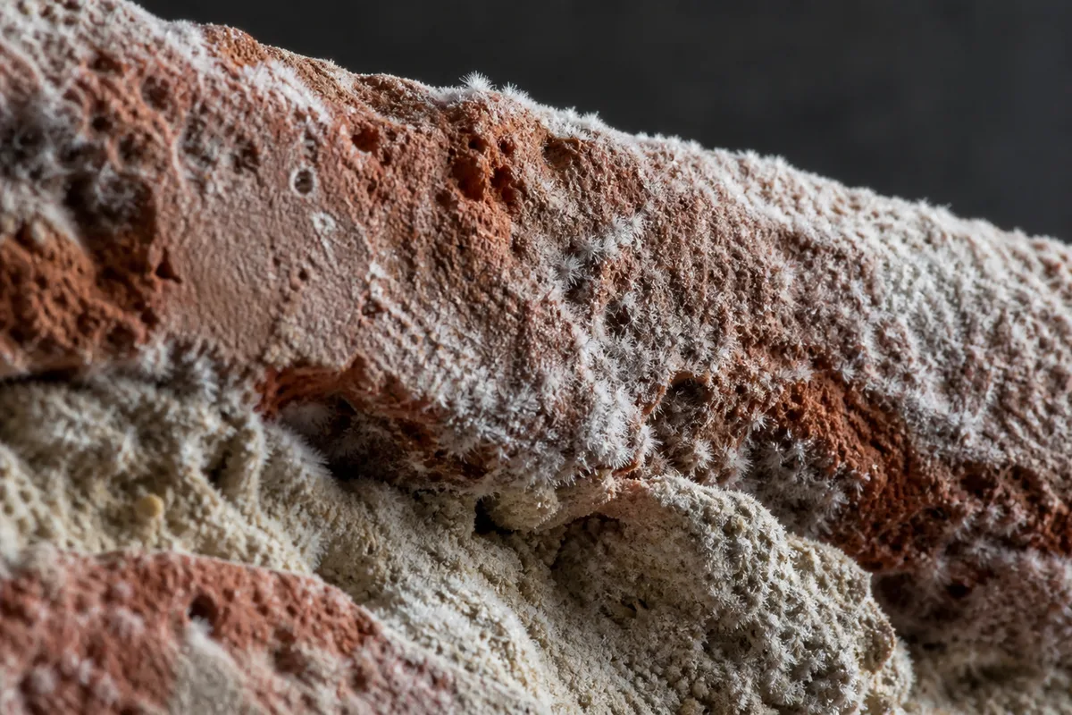 Pied d’un mur en pierre ancienne marqué par une auréole d’humidité et un enduit cloqué
